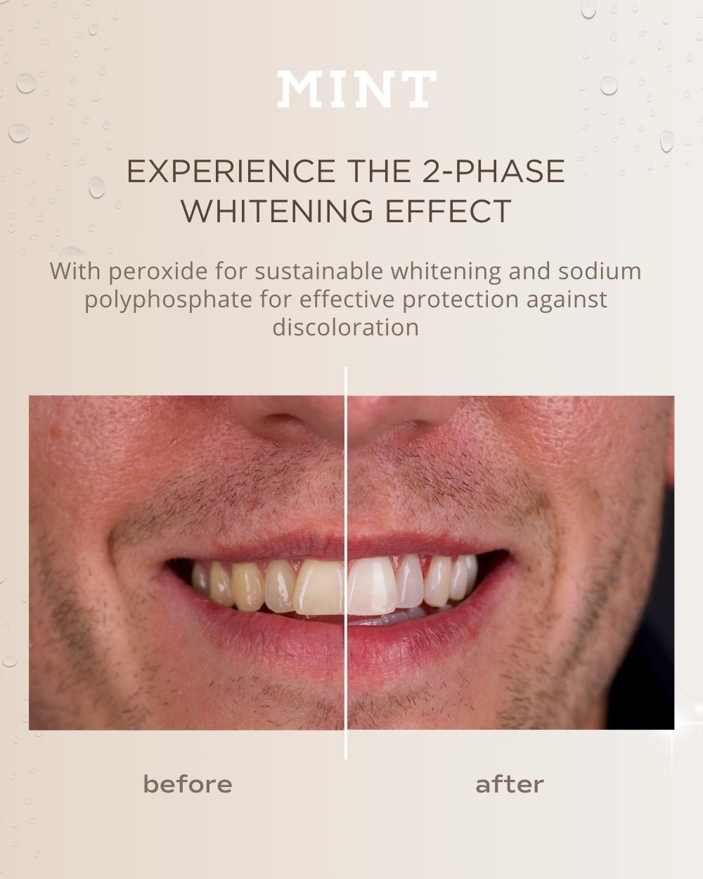 MINT HOLLYWOOD SMILE TOOTHPASTE + MOUTHWASH