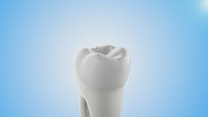 MINT HOLLYWOOD SMILE POLISHING PASTE